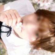 ヒメ日記 2026/04/30 19:52 投稿 たお Seirenes (セイレネス)