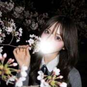 宝生マリン 推せるうちに推せ👊🏻✨ Evolution1st キタ兎我野店