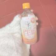 ヒメ日記 2026/04/17 19:46 投稿 ちはる 新小岩デリヘル ラブセレクション