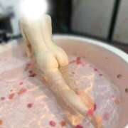 ヒメ日記 2026/07/06 08:16 投稿 りお 熟女の風俗最終章 高崎店