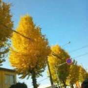 ヒメ日記 2026/10/14 05:36 投稿 松雪雫 五十路マダム静岡店（カサブランカG）