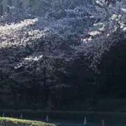 ヒメ日記 2026/04/24 22:05 投稿 清野 潤 こあくまな熟女たち 西川口店(KOAKUMAグループ)