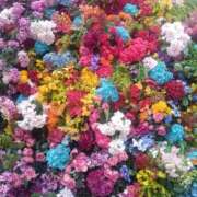 ヒメ日記 2026/04/18 13:47 投稿 柚木らん プレジデントハウス