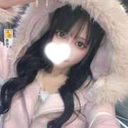 ひかる はじめまして🎀 JAPAN CLUB BUNNY LOUNGE