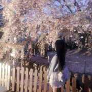 ヒメ日記 2026/04/20 15:23 投稿 ひかる JAPAN CLUB BUNNY LOUNGE