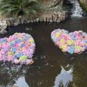 矢内りな ご指名プラザの貴方へのお礼 五十路マダム宇都宮店(カサブランカグループ)