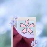 矢内りな 復帰しました！ 五十路マダム宇都宮店(カサブランカグループ)