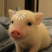 しおん 🍒今日おやすみです！ 東京デザインリング錦糸町店