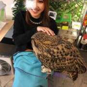 ヒメ日記 2026/05/26 22:14 投稿 ナオ ドMな奥さん 日本橋店
