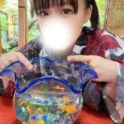 ヒメ日記 2026/07/24 18:07 投稿 りあら 川崎ソープ SAPPHIER -サファイア-