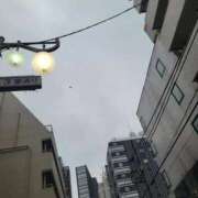 ヒメ日記 2026/04/30 06:13 投稿 ゆうり ニューグランド