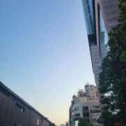 ヒメ日記 2026/05/19 06:09 投稿 ゆうり ニューグランド