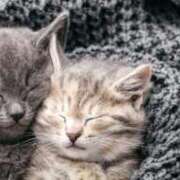 かすみ 次の出勤日 東京リップ 上野店