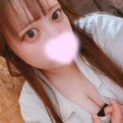 ヒメ日記 2026/06/04 15:19 投稿 ほたる ふわふわコレクション