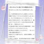ヒメ日記 2026/07/11 18:24 投稿 ほたる ふわふわコレクション