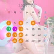ヒメ日記 2026/09/29 00:02 投稿 れいか JAPAN CLUB BUNNY LOUNGE
