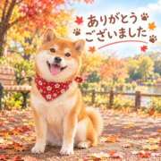 ヒメ日記 2026/10/16 07:45 投稿 まちこ 性腺熟女100％鶯谷（デリヘル市場）