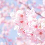 ヒメ日記 2026/04/20 15:43 投稿 皐月そら Men's relaxation VEGA