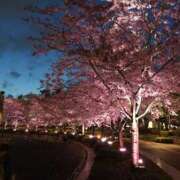 ヒメ日記 2026/04/18 21:48 投稿 れいは 品川ミセスアロマ（ユメオト）