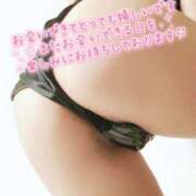 ヒメ日記 2026/04/21 14:03 投稿 ひまわり 山口周南ちゃんこ