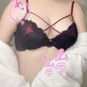 ヒメ日記 2026/04/21 18:31 投稿 ひまわり 山口周南ちゃんこ