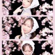 坂本 みれい 震撼させちゃうゾッ💕 Neo Elegance（ネオエレガンス）