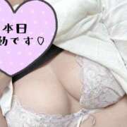 ヒメ日記 2026/08/16 11:18 投稿 なつめ 脱がされたい人妻 町田・相模原店