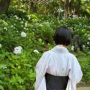 ヒメ日記 2026/06/20 14:50 投稿 東雲みや FORTE