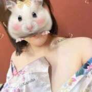 ヒメ日記 2026/07/16 22:02 投稿 かずは いざ候 別館