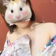 ヒメ日記 2026/07/27 19:02 投稿 かずは いざ候 別館