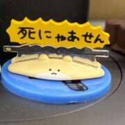ヒメ日記 2026/04/24 20:00 投稿 まひる バイオレンス