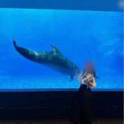 ヒメ日記 2026/04/28 14:11 投稿 このか ウルトラハピネス