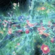 ヒメ日記 2026/04/28 20:36 投稿 ゆずか 錦糸町人妻セレブリティ（ユメオト）