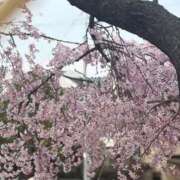 ヒメ日記 2026/04/19 16:51 投稿 アスナ ピンクコレクション大阪