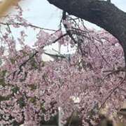 ヒメ日記 2026/04/21 19:29 投稿 アスナ ピンクコレクション大阪キタ店