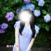 ヒメ日記 2026/06/19 07:00 投稿 春野泉-IZUMI- Casual Rich 5（カジュアルリッチファイブ）