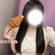 ヒメ日記 2026/08/13 07:01 投稿 春野泉-IZUMI- Casual Rich 5（カジュアルリッチファイブ）