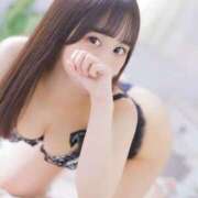 ヒメ日記 2026/04/29 11:54 投稿 高山みい ブルーバード