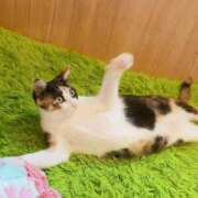 ヒメ日記 2026/08/24 15:02 投稿 あゆみ ぷるるん小町 京橋店