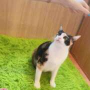 ヒメ日記 2026/08/25 21:47 投稿 あゆみ ぷるるん小町 京橋店