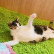 ヒメ日記 2026/09/07 16:40 投稿 あゆみ ぷるるん小町 京橋店