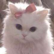 エレナ 暖かい? ラブコレクション