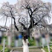 ヒメ日記 2026/04/23 15:01 投稿 エレナ ラブコレクション