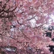 ヒメ日記 2026/04/25 16:31 投稿 エレナ ラブコレクション