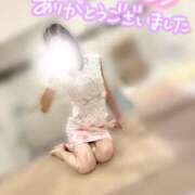 ヒメ日記 2026/05/12 00:01 投稿 エレナ ラブコレクション