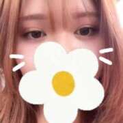 ヒメ日記 2026/07/03 15:58 投稿 ふみか 白いぽっちゃりさん