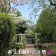 ヒメ日記 2026/04/19 10:49 投稿 長谷川　さくら OtoLABO～前立腺マッサージ（ドライオーガズム）専門店～