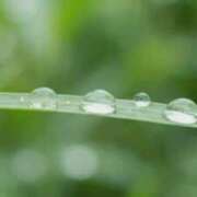 ヒメ日記 2026/04/20 12:12 投稿 長谷川　さくら OtoLABO～前立腺マッサージ（ドライオーガズム）専門店～