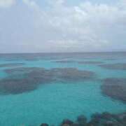 ヒメ日記 2026/04/19 01:35 投稿 ことは 宮崎ちゃんこ都城店