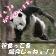 ヒメ日記 2026/05/12 11:38 投稿 くるみ 熟女の風俗最終章 沼津店